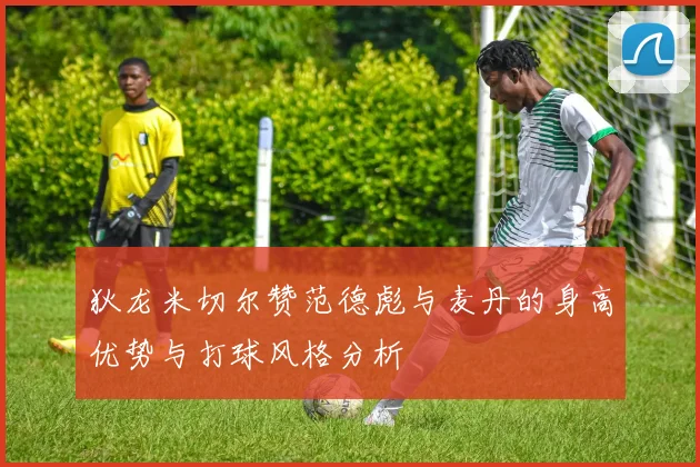 狄龙米切尔赞范德彪与麦丹的身高优势与打球风格分析