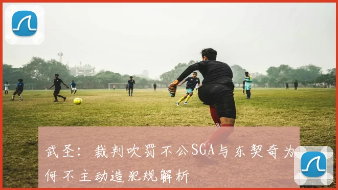 武圣：裁判吹罚不公SGA与东契奇为何不主动造犯规解析